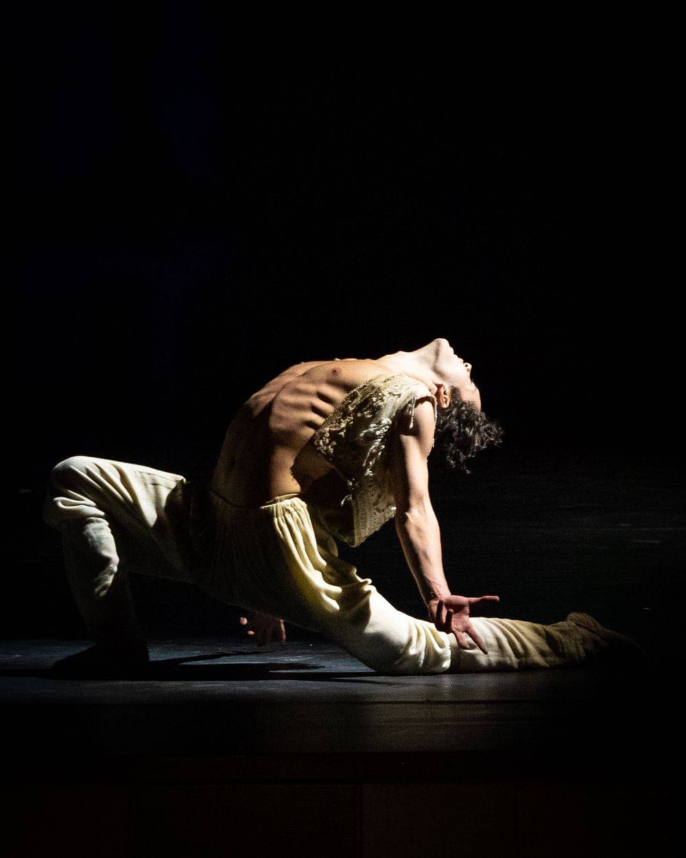 © Wiener Staatsballett/Ashley Taylor